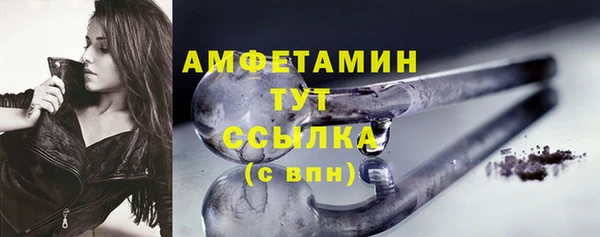 гидра Осинники