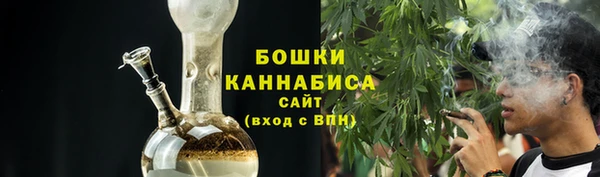 гидра Осинники