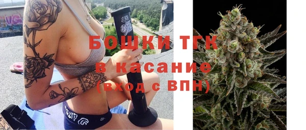 гидра Осинники