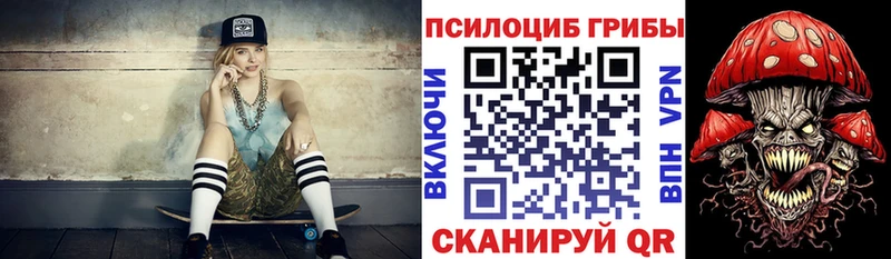 Галлюциногенные грибы Psilocybe  Киржач 